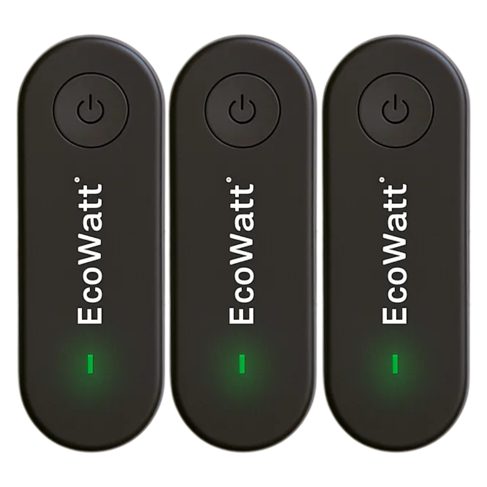 EcoWatt®